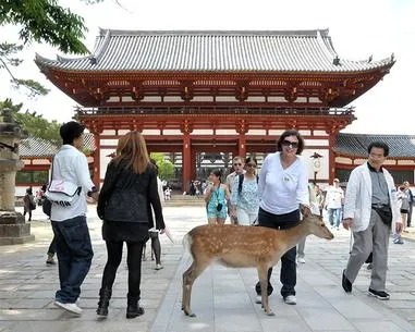People and deer in front of temple.