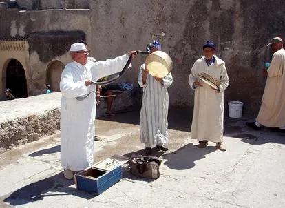 Street performers with snake and musical instruments.