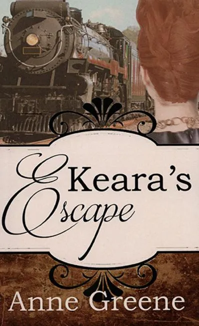 Book cover with train and woman's silhouette.