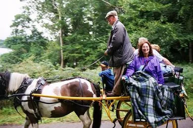 Horse-drawn carriage ride through wooded area.
